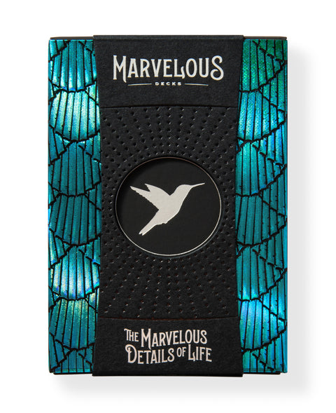 Hummingbird Feathers: Blue