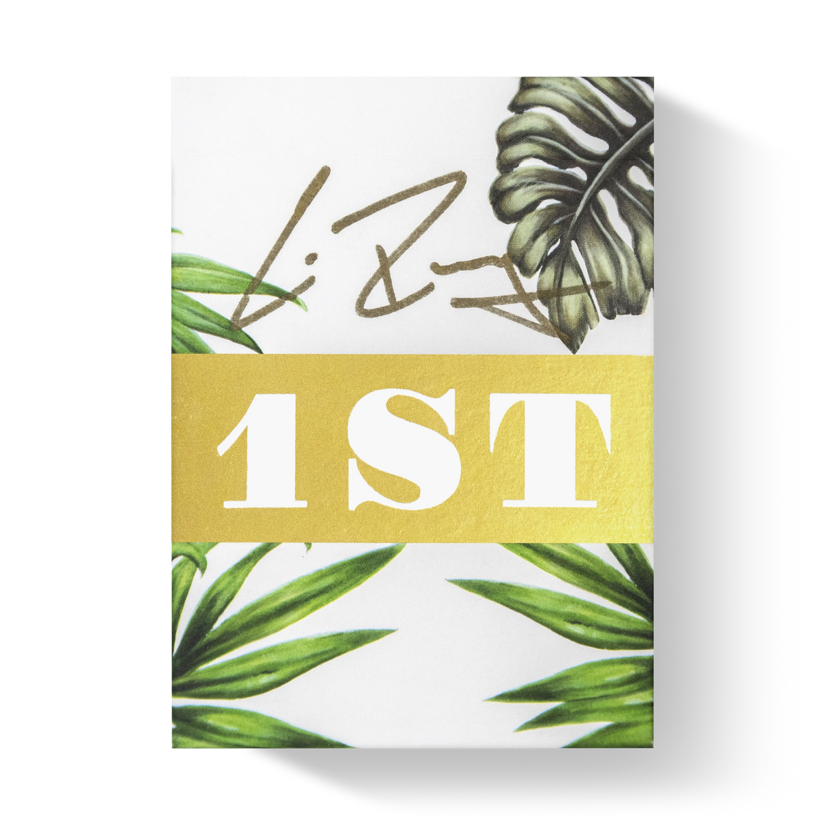 1ST V3