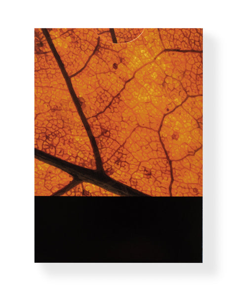 MYNOC: Leaf