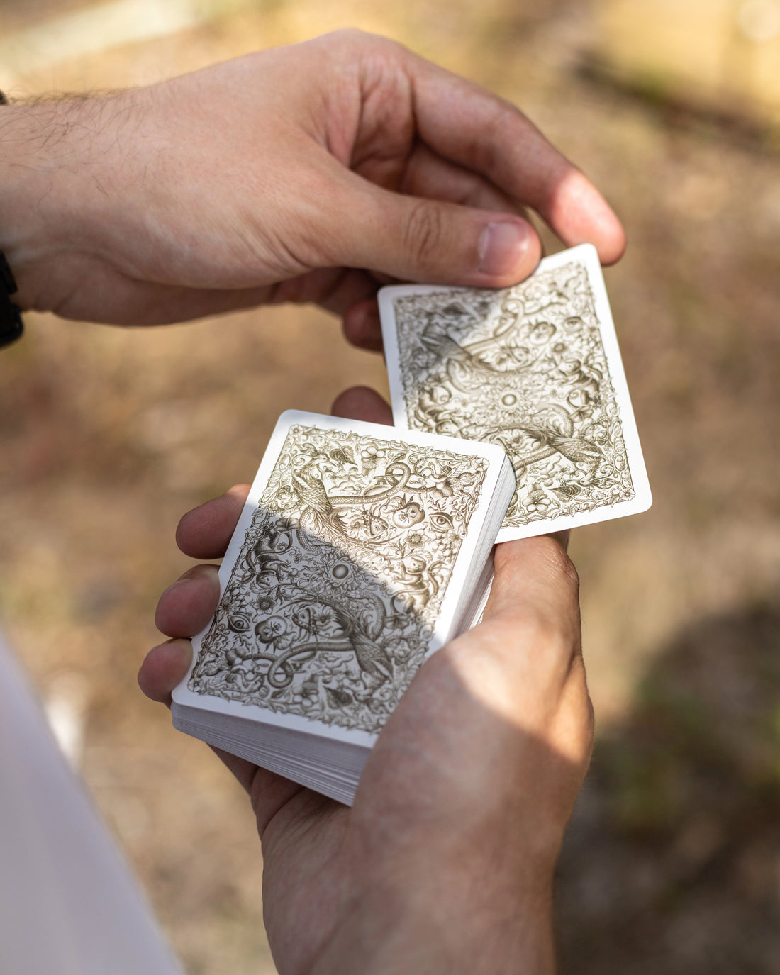 King of Cards
