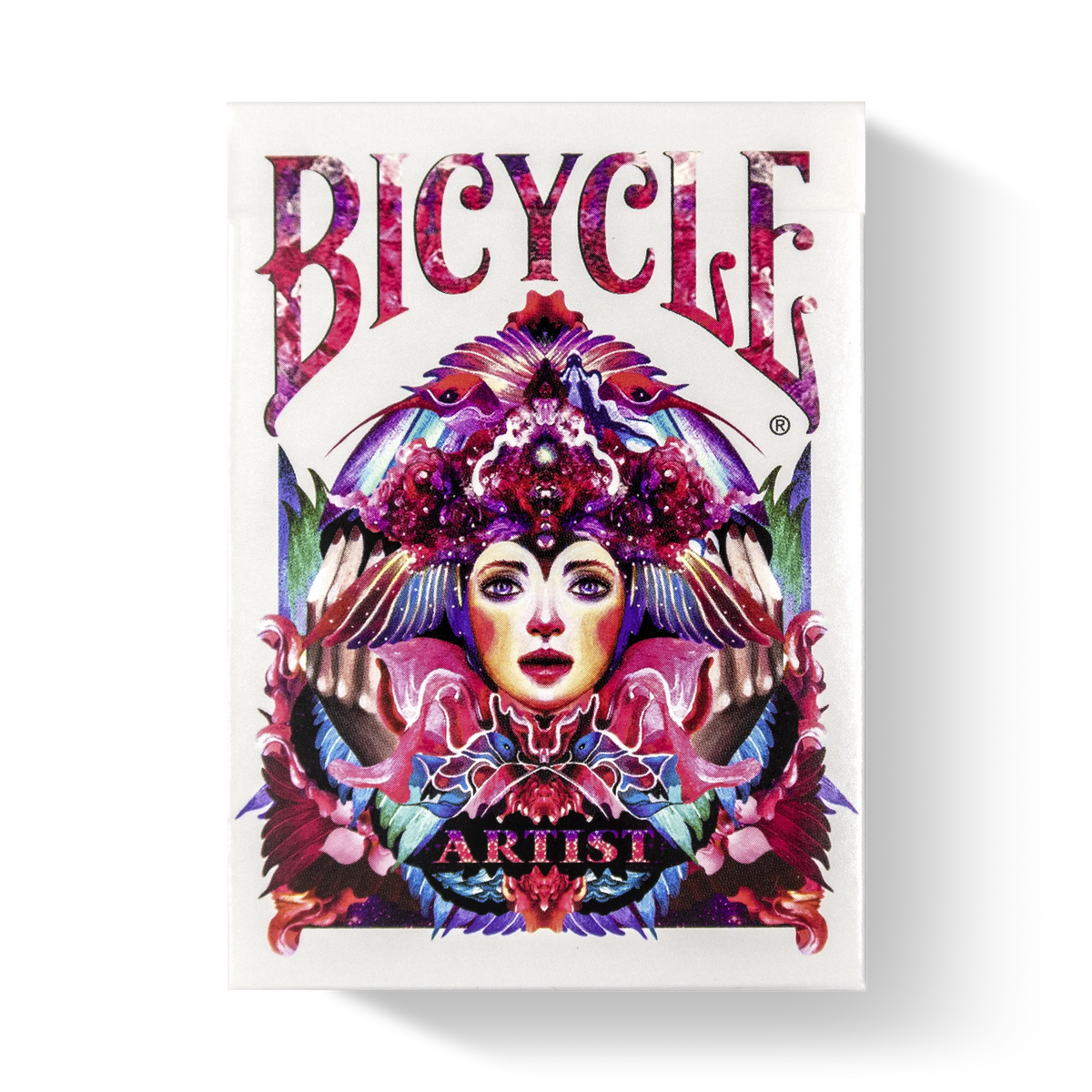 Bicycle Artist