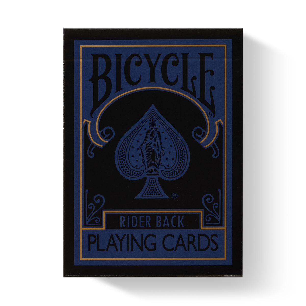 Bicycle Reverse