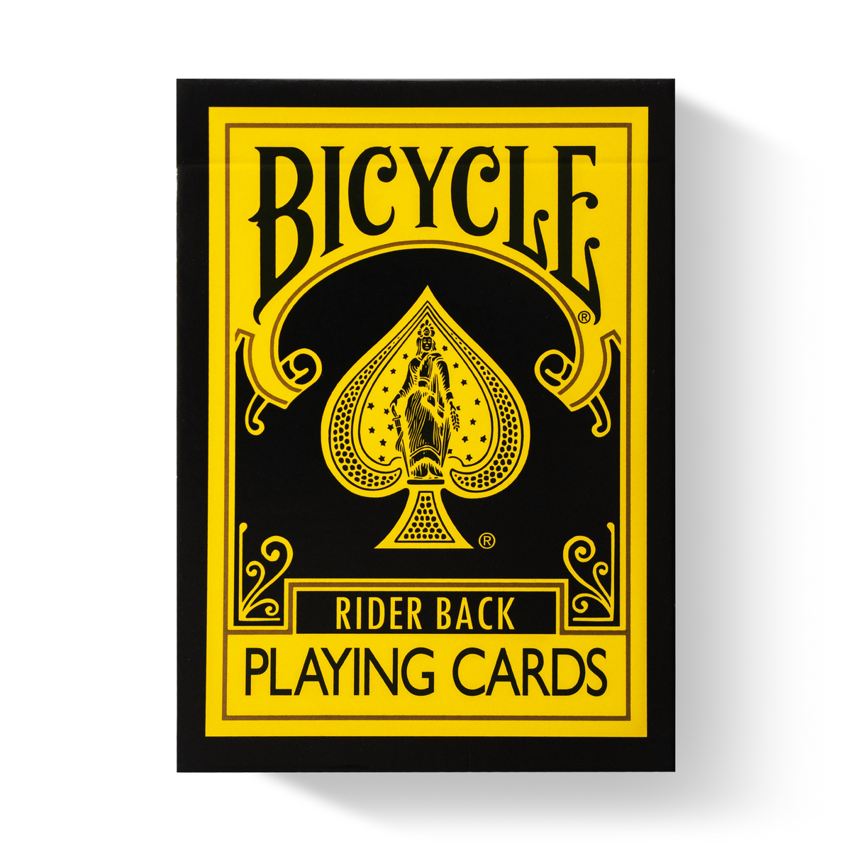 Bicycle Reverse