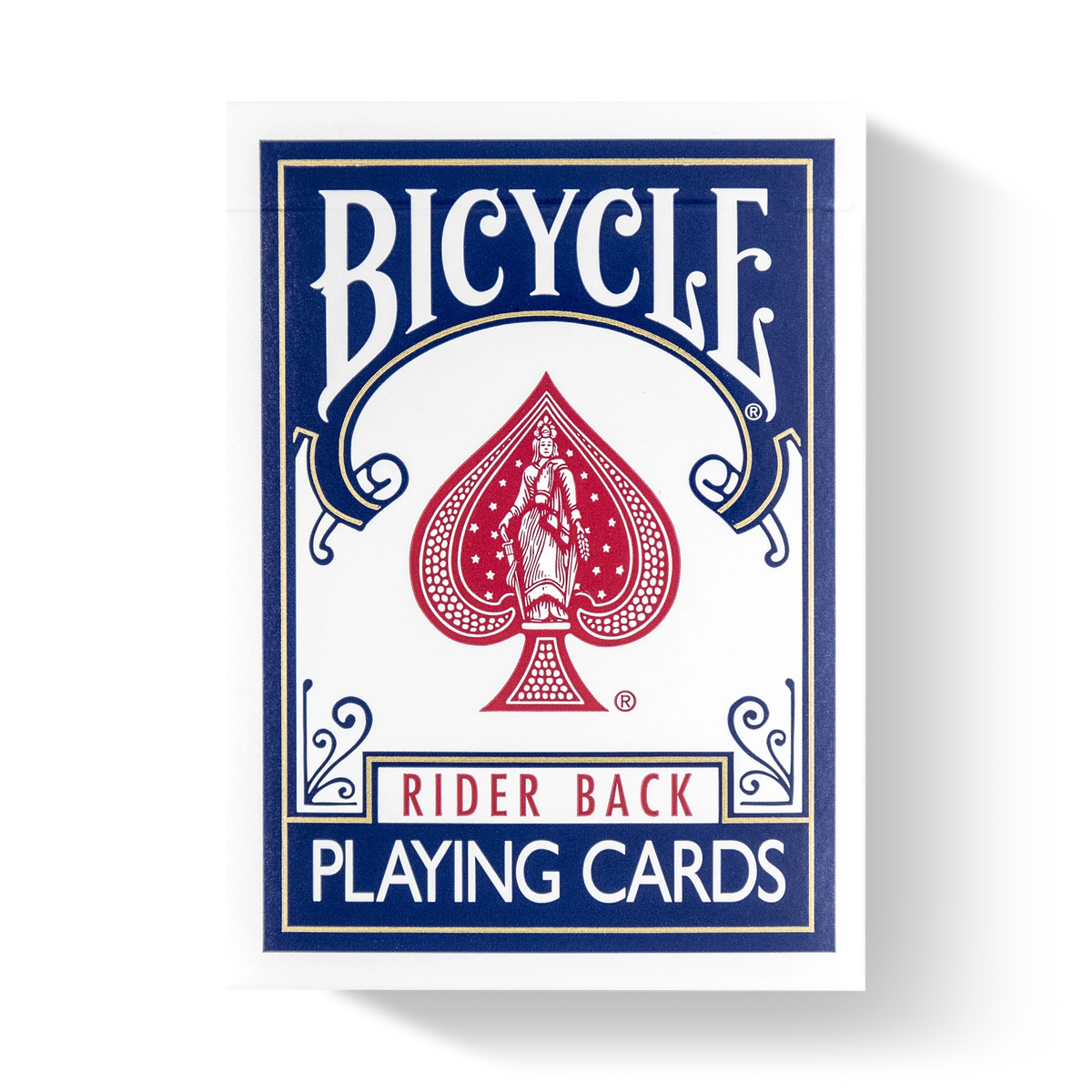 Bicycle Rider Back