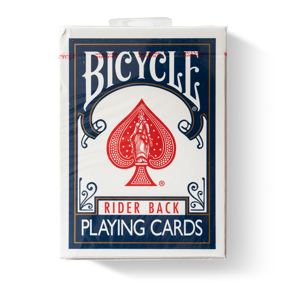 Bicycle Rider Back