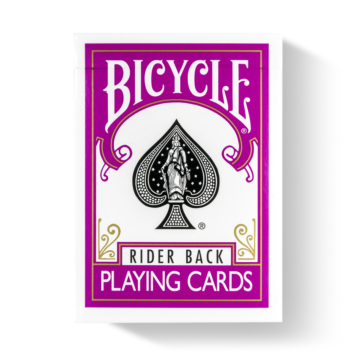 Bicycle Rider Back