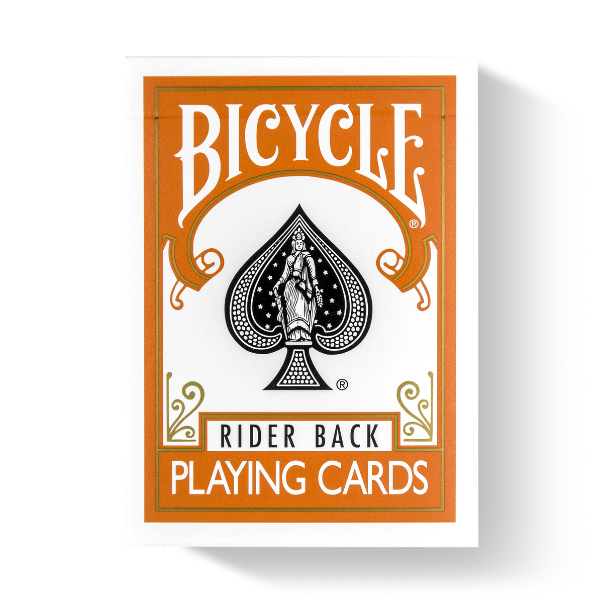 Bicycle Rider Back