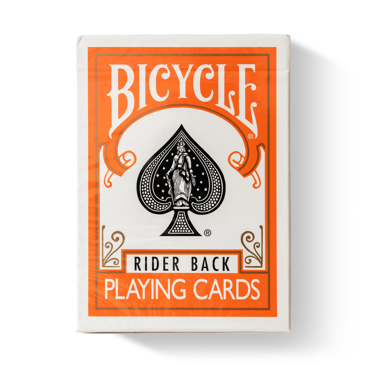 Bicycle Rider Back