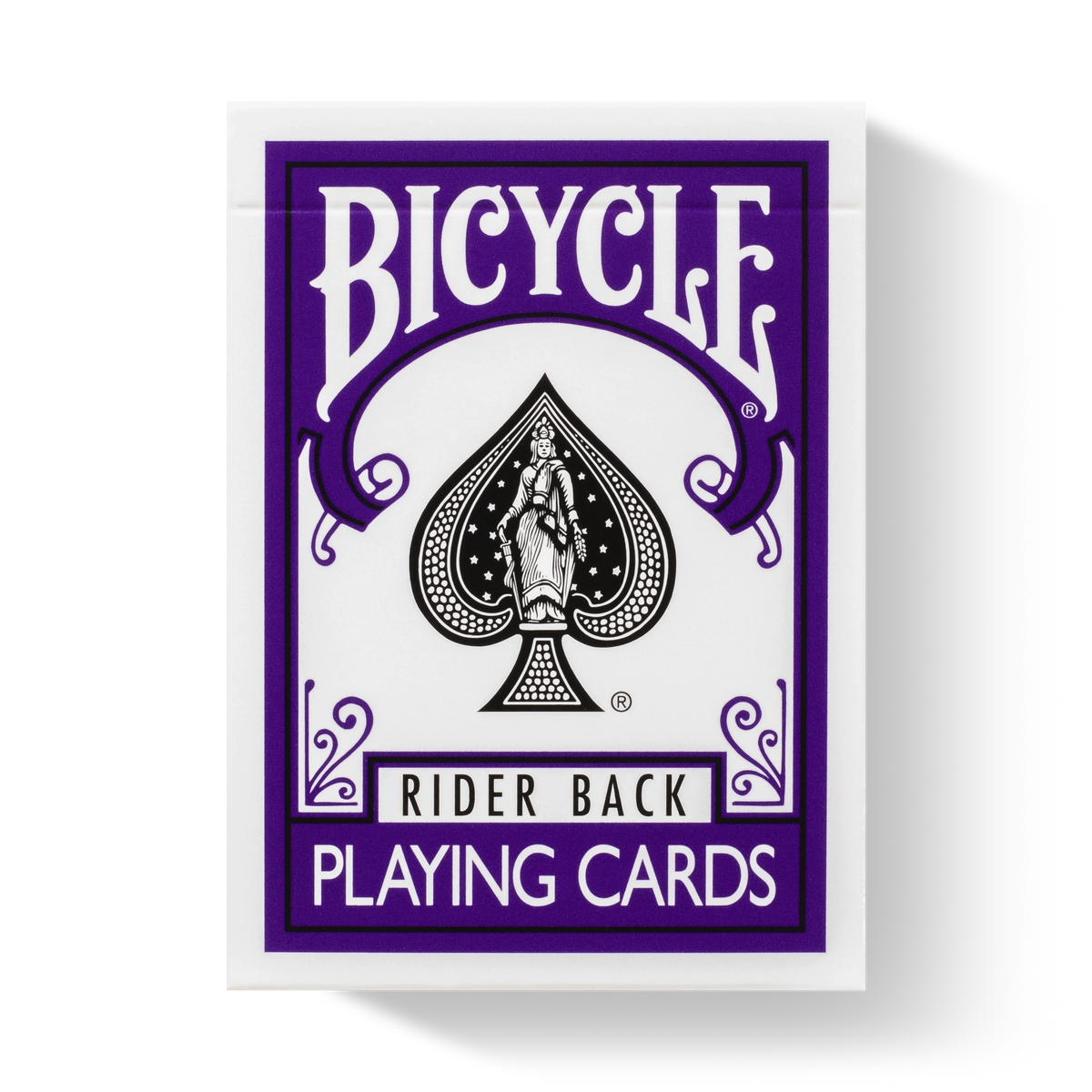 Bicycle Rider Back