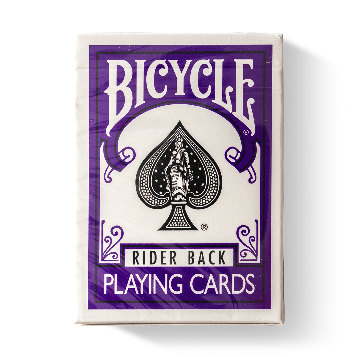 Bicycle Rider Back