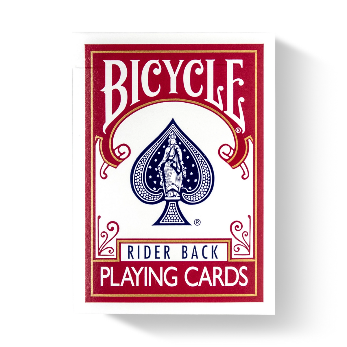 Bicycle Rider Back