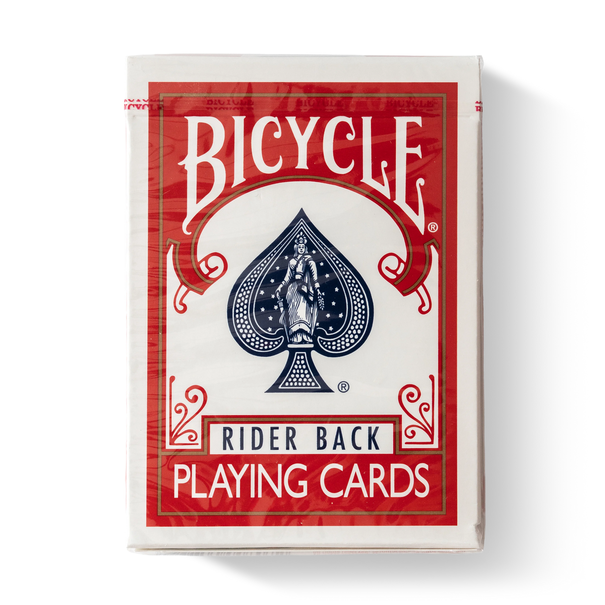 Bicycle Rider Back