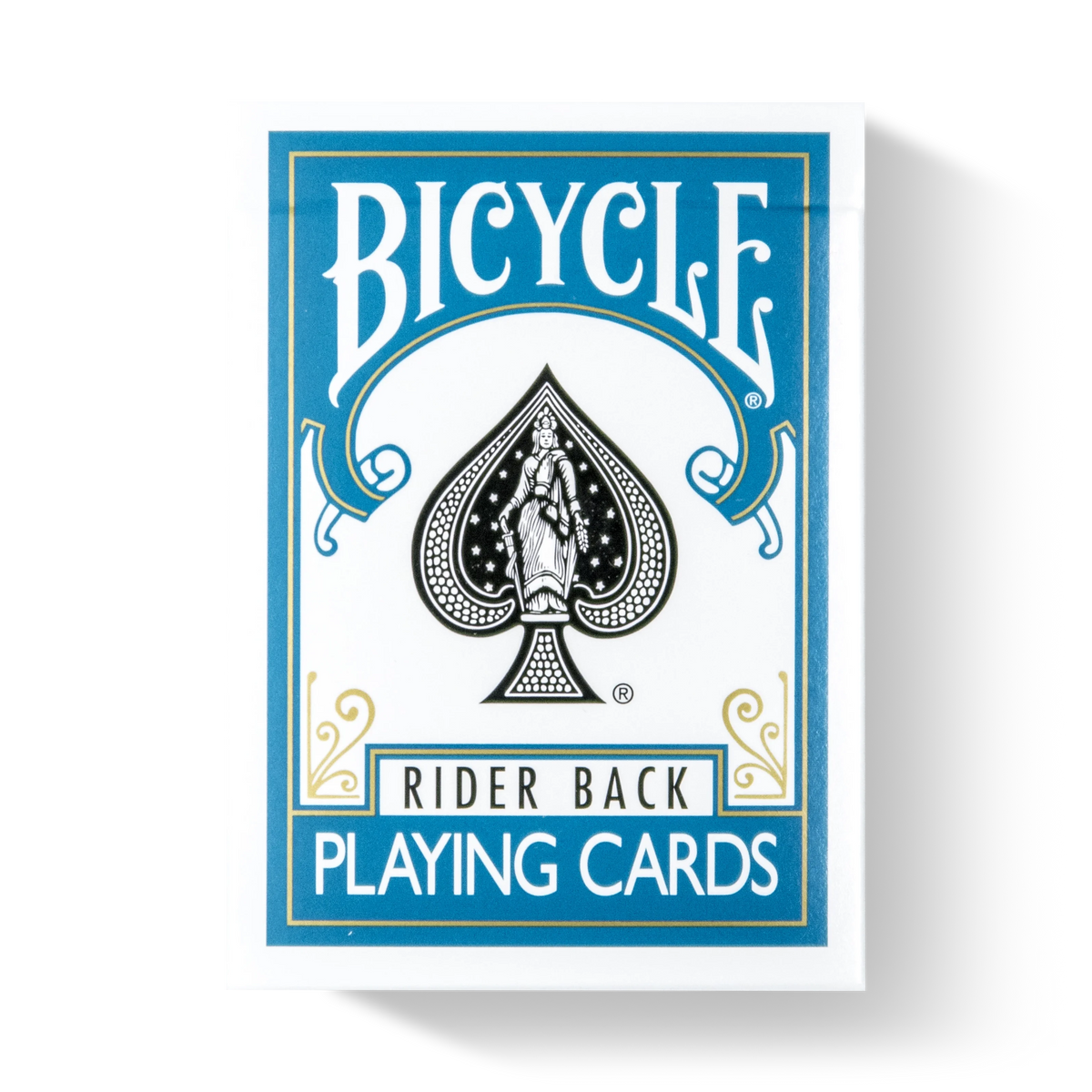 Bicycle Rider Back