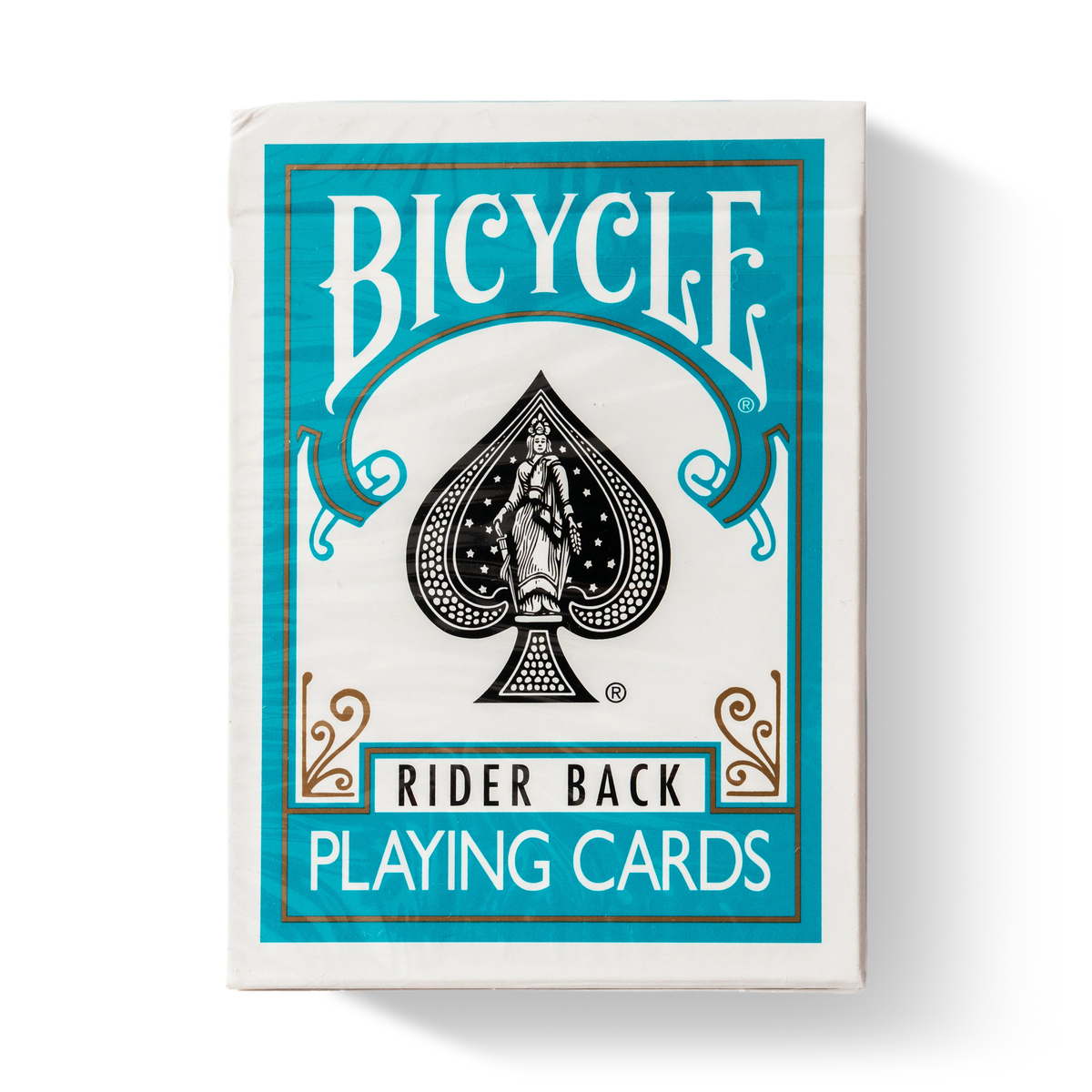 Bicycle Rider Back