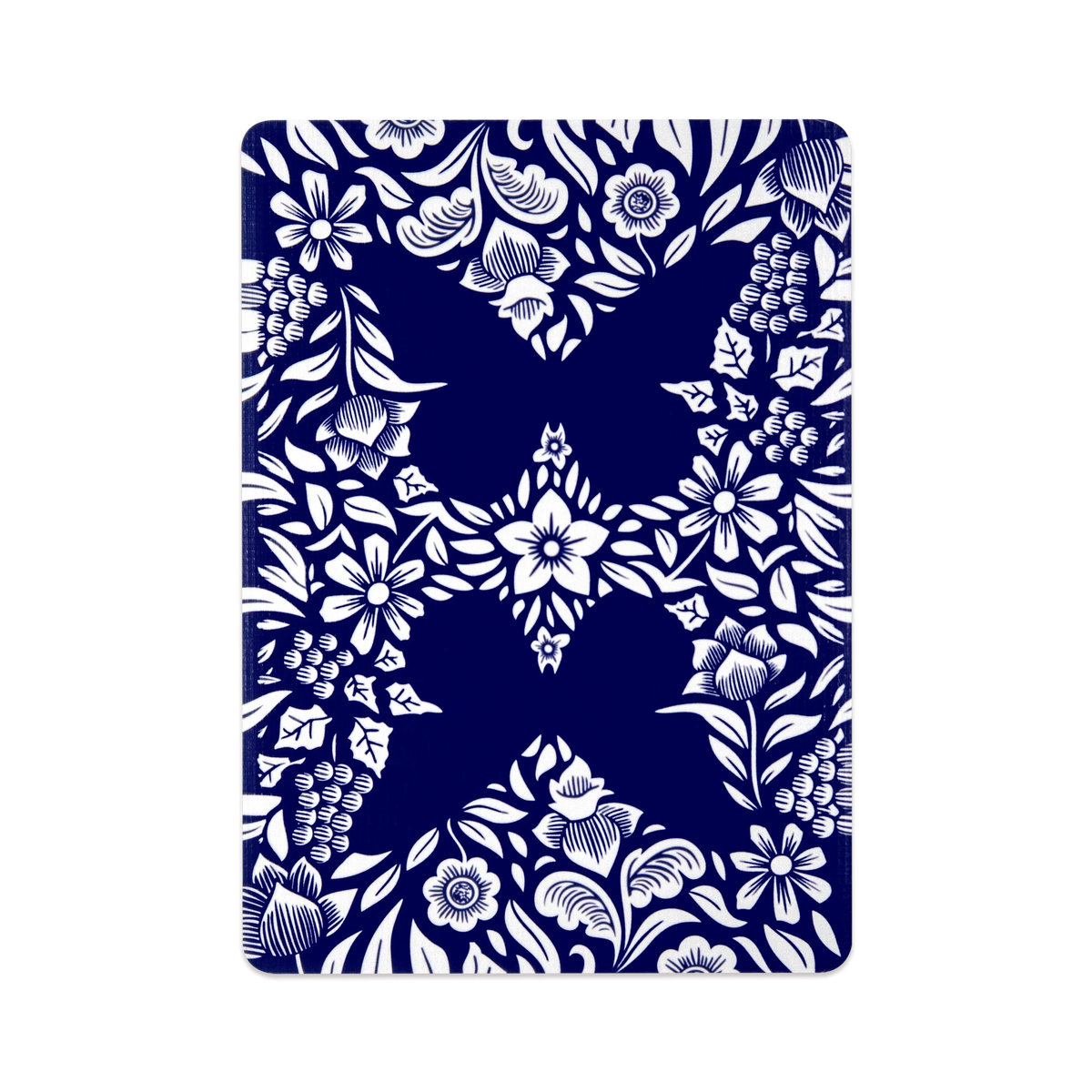 Butterfly (Second Edition)