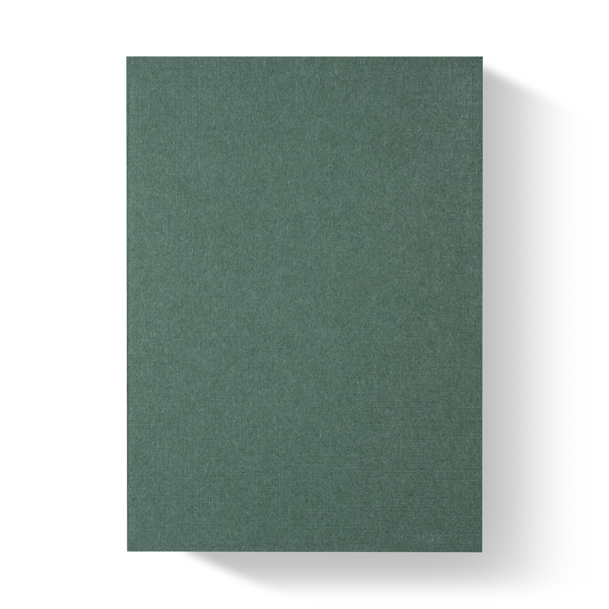 Fig. 25 Standard Edition