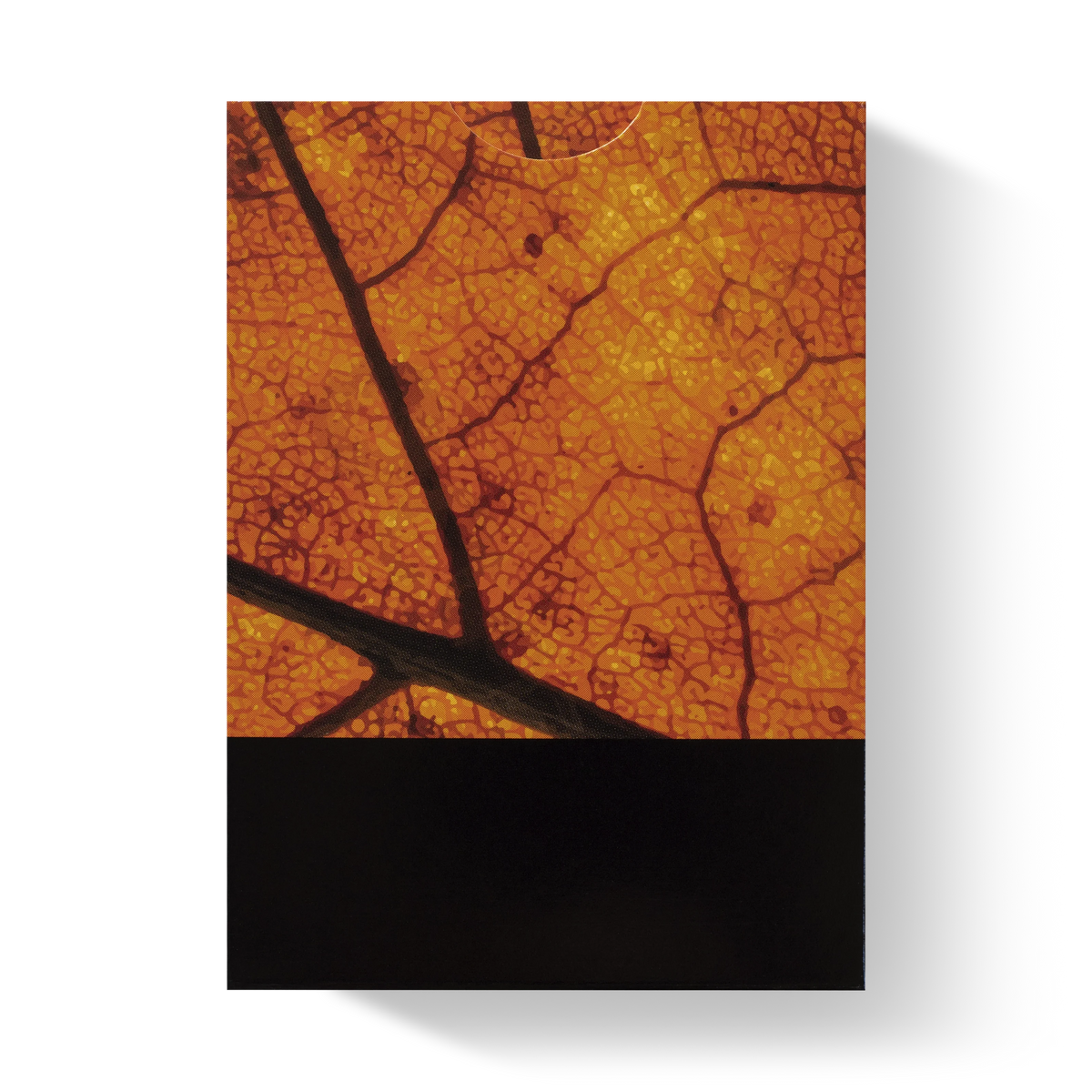 MYNOC: Leaf