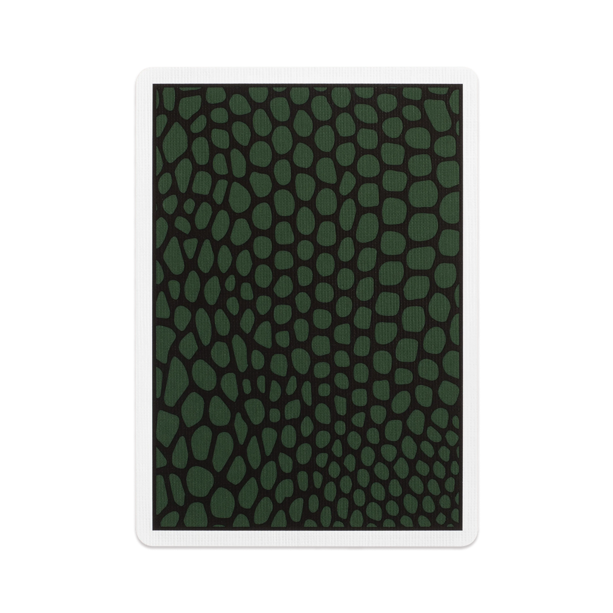 MYNOC: Snake
