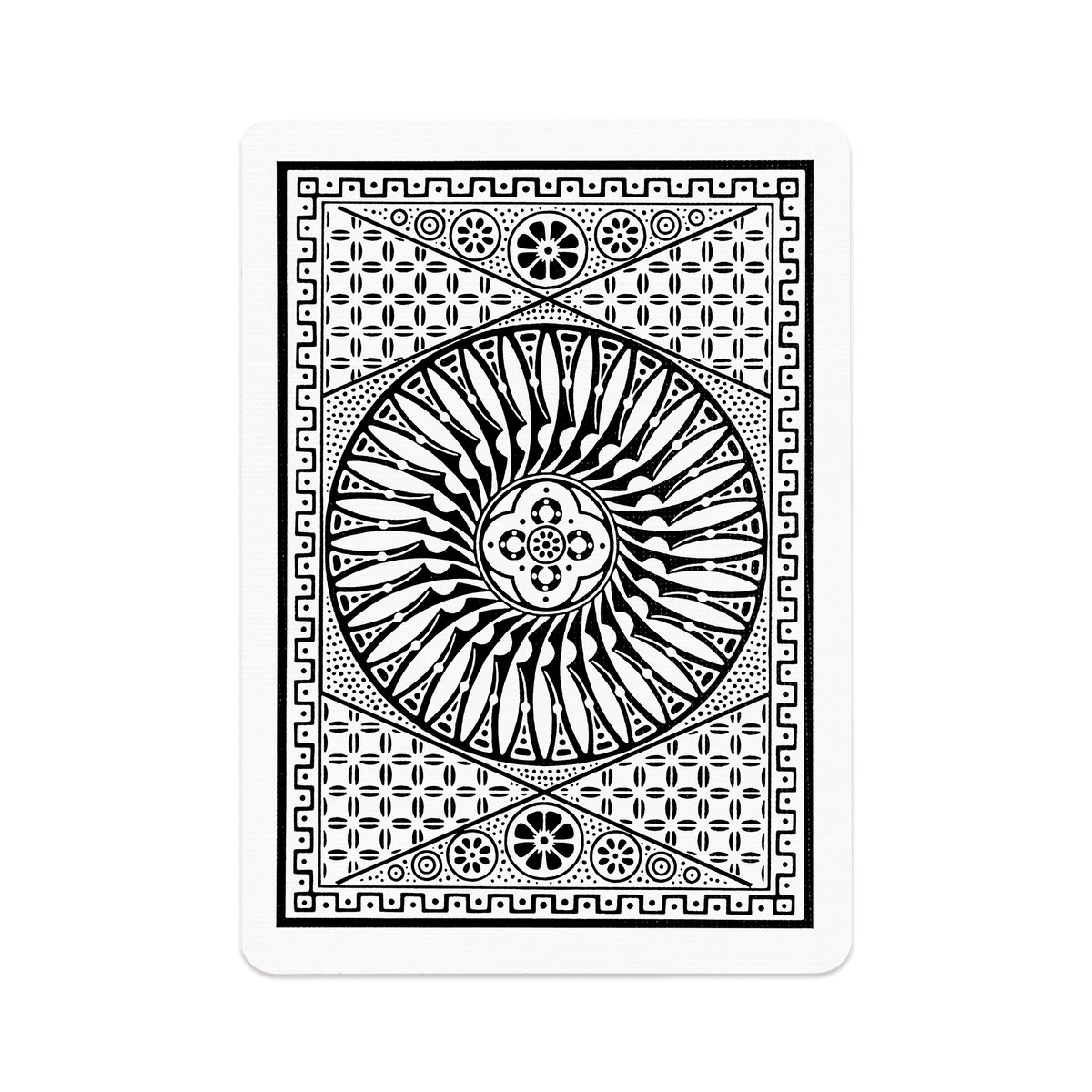 Tally-Ho Circle Back: White